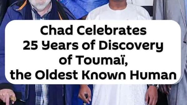Chad Celebrates 25th Anniversary of Discovery of Toumaï, Oldest Known Hominid to Date - Sputnik Africa