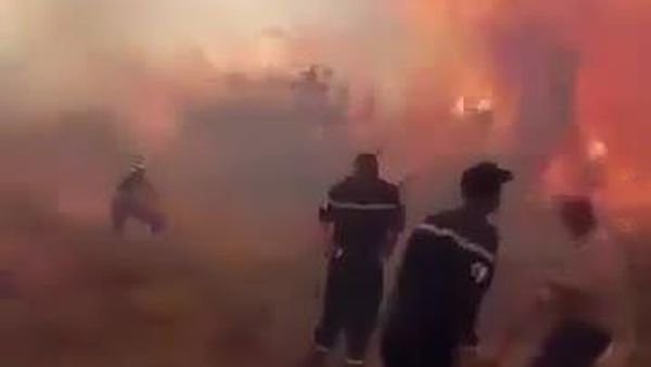 L'Algérie en proie aux flammes: près de 130 feux de fôret fixés en 24 heures - médias - Sputnik Afrique