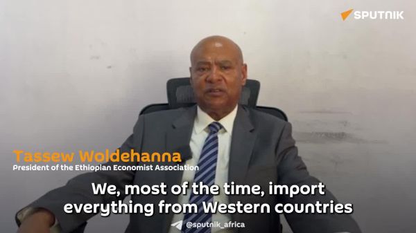 'Exporting Raw Material Doesn't Make You Rich,' Says Ethiopian Economist - Sputnik Africa