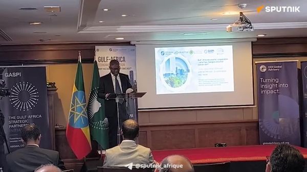 La première session de dialogue de haut niveau de l'Initiative de partenariat stratégique Golfe-Afrique s'ouvre à Addis-Abeba - Sputnik Afrique