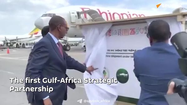 AfCFTA is Creating World's Largest Trade Network: Ethiopia State Minister - Sputnik Africa