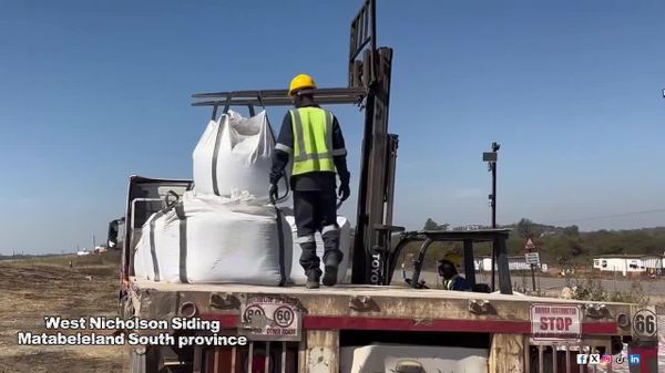 Les Chemins de fer nationaux du Zimbabwe lancent les exportations de lithium vers Maputo - Sputnik Afrique