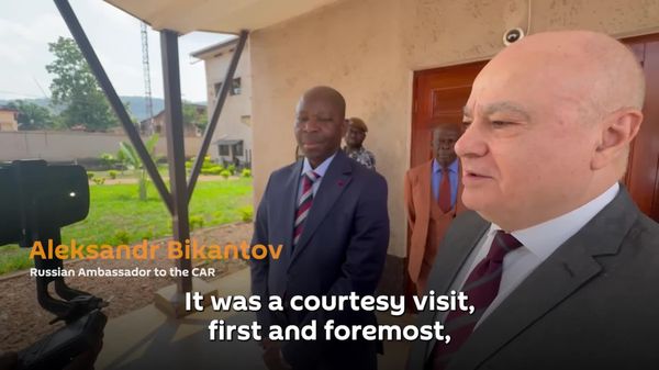 Russian Ambassador Meets With CAR Interior Minister, Discussing Police Training & Information Security - Sputnik Africa