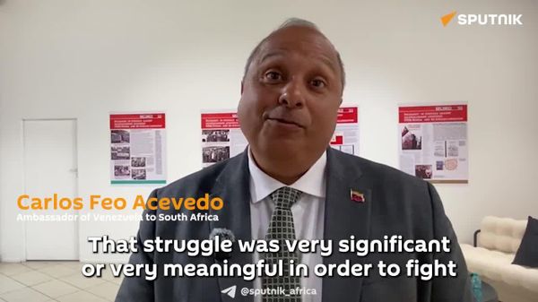 'It's Important Not Only to Recognize What Had Happened, But to Also Give It Value': Venezuela's Ambassador on Colonial Past - Sputnik Africa