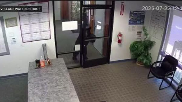 'Where’s Everybody?': Bear Wanders Into Local Office in US Village – Then Leaves - Sputnik Africa