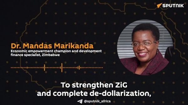 Credible Currency is Realistic: 'Zimbabwe Has Resources to Back It' — Expert Speaks on De-Dollarization - Sputnik Africa