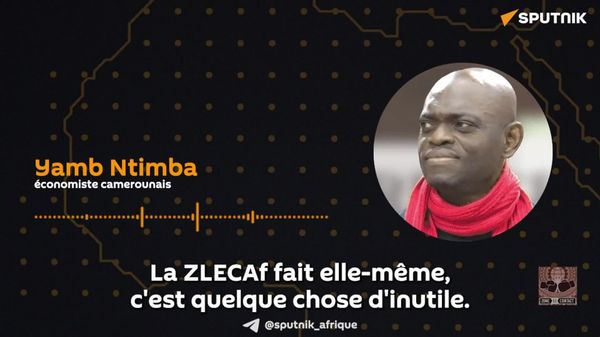 La ZLECAf prépare une infrastructure numérique continentale: ce n'est pas ce dont l'Afrique a besoin, rétorque un économiste camerounais - Sputnik Afrique