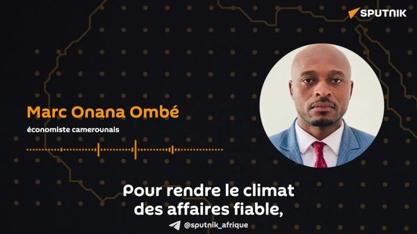 Le Cameroun doit favoriser un climat des affaires fiable pour attirer les investissements étrangers, selon un économiste - Sputnik Afrique