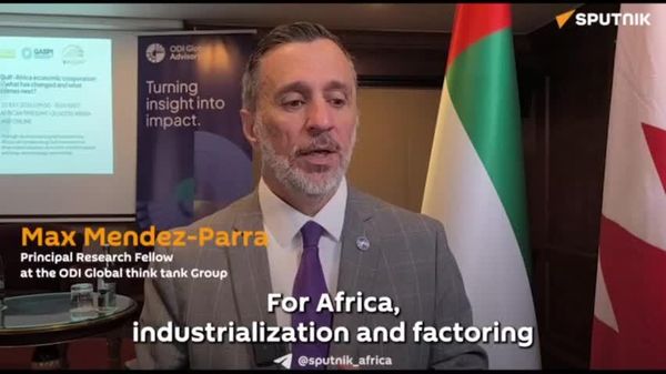 Gulf-Africa Cooperation Could Boost Continent's Manufacturing Growth: Logistics Expert - Sputnik Africa