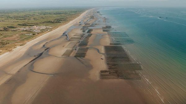 🪖 Le site du débarquement allié de 1944 en Normandie inscrit au patrimoine mondial de l'Unesco - Sputnik Afrique