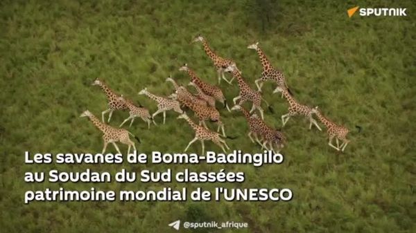 Migration d'antilopes et de gazelles: un site du Sud-Soudan pour la première fois classé au patrimoine de l'Unesco - Sputnik Afrique