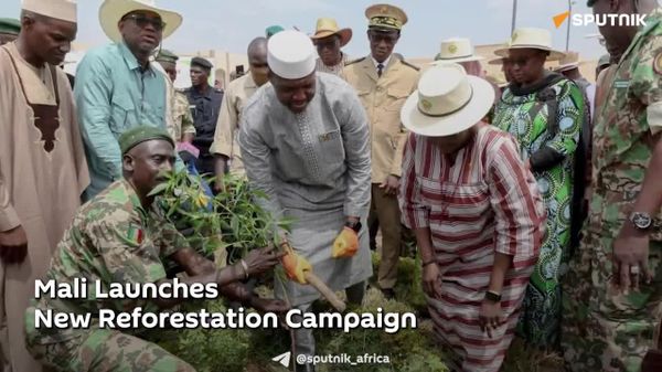 Mali Launches New Reforestation Campaign - Sputnik Africa