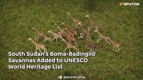 South Sudan's Boma-Badingilo Migratory Landscape Inscribed on UNESCO's World Heritage List for the First Time - Sputnik Africa