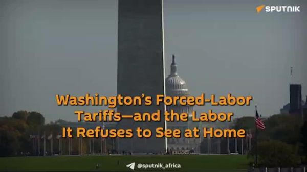 US Tariffs Target Forced Labor Abroad, But Ignore It at Home - Sputnik Africa