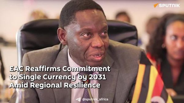 EAC Reaffirms Commitment to Single Currency by 2031 Amid Regional Resilience - Sputnik Africa