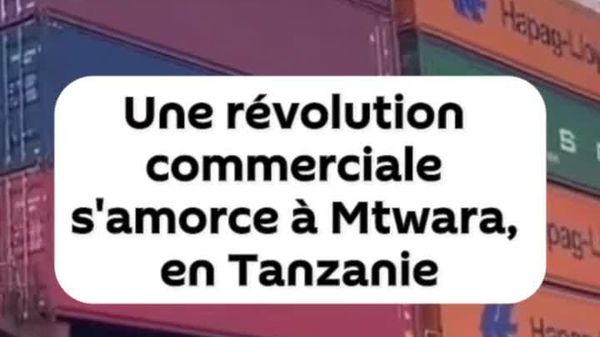 Une révolution commerciale commence dans un port tanzanien - Sputnik Afrique