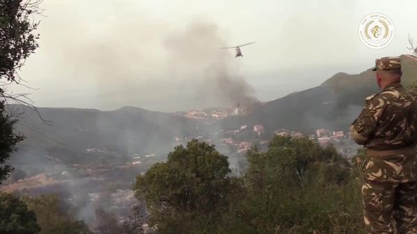 Des aéronefs russes ont participé à la lutte contre les incendies en Algérie, désormais maîtrisés – autorités - Sputnik Afrique