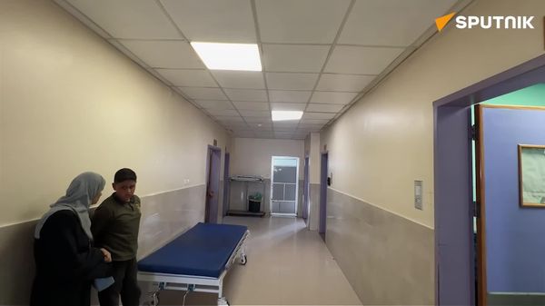 Pregnant Gazans lose children in Israeli-wracked health system - Sputnik Africa