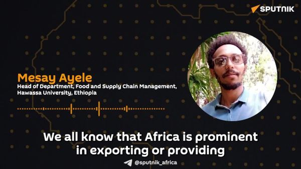 Colonial Structures Determine Africa's Raw Materials Supplying Role: Ethiopian Scholar - Sputnik Africa