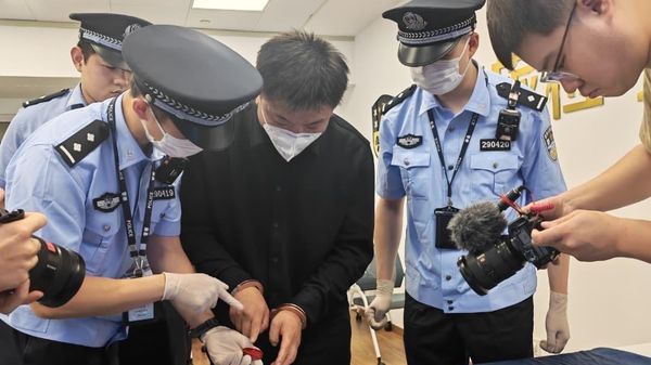 12 Tonnes of Pangolin Scale Trafficked: Nigeria Repatriates Chinese Suspect - Sputnik Africa