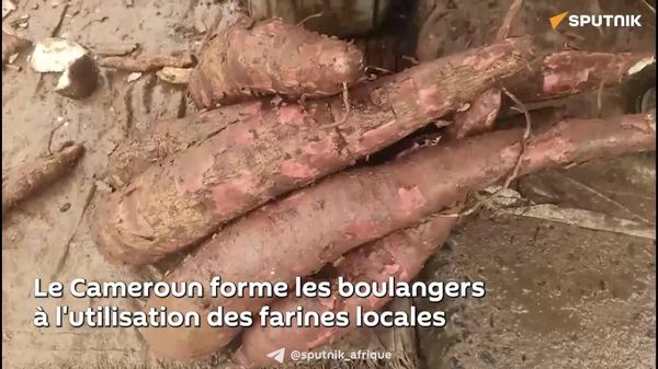 Le Cameroun se dirige-t-il vers une vraie filière industrielle de farine locale? - Sputnik Afrique