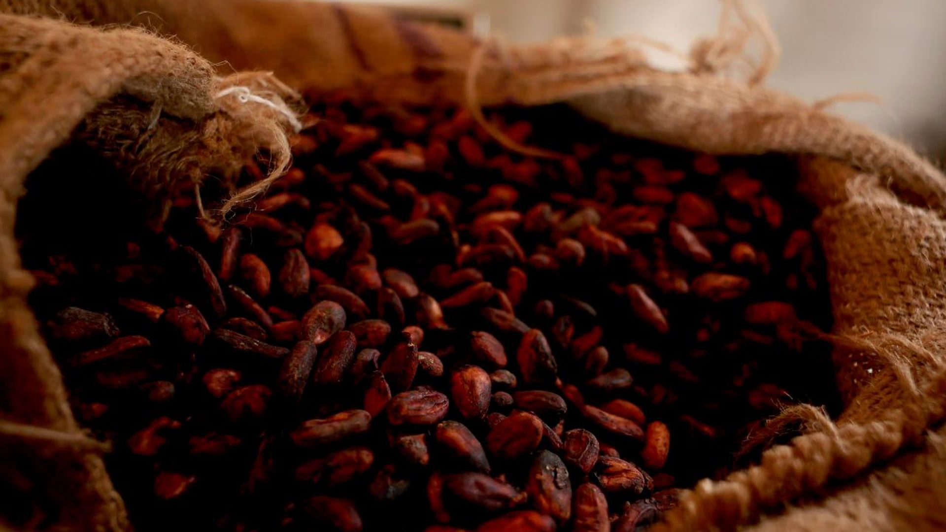 Ghana's Cocoa Output to Drop at Least 16% Next Season: Media Ghana's Cocoa Output to Drop at Least 16% Next Season: Media - Sputnik Africa, 1920, 30.07.2026