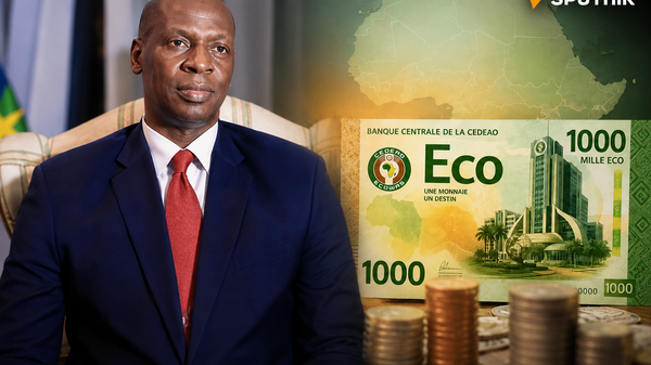Monnaie unique de la CEDEAO: le pari de l'eco est-il réaliste? - Sputnik Afrique