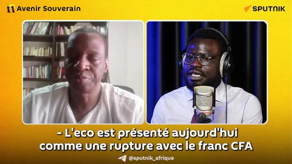 L'Eco, future monnaie commune de la CEDEAO, n'a rien à voir avec le franc CFA – économiste malien - Sputnik Afrique