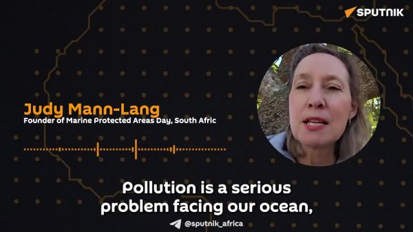 'Marine Protected Areas Are Really Our Ocean Treasures': SA Researcher - Sputnik Africa