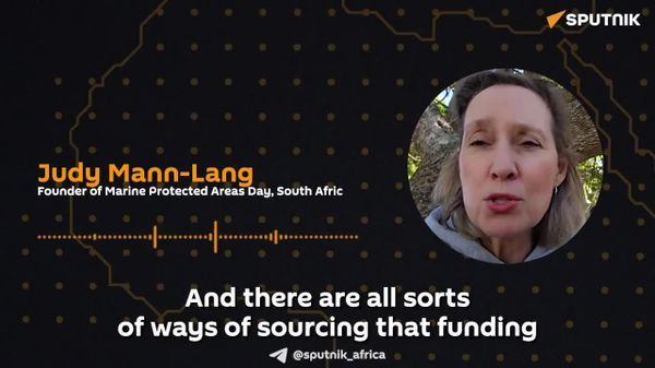 'Marine Protected Areas Are Good for Nature, But They're Also Good for People': SA Researcher - Sputnik Africa