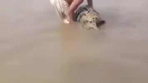 When the Nile Gives You a Crocodile: Sudanese Man's Catch Goes Viral - Sputnik Africa