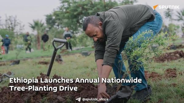 Ethiopia Launches Annual Nationwide Tree-Planting Drive - Sputnik Africa