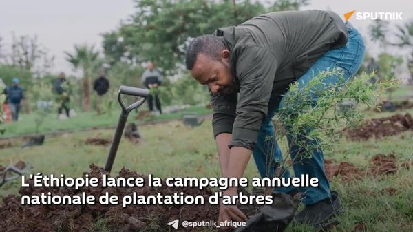L'Éthiopie lance la campagne annuelle nationale de plantation d'arbres - Sputnik Afrique