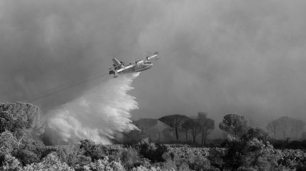 L'Algérie a rattrapé un retard considérable dans ses moyens et son dispositif anti-incendie - Sputnik Afrique