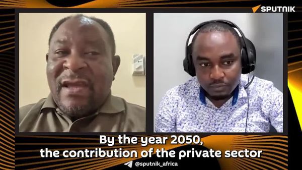 Private Sector to Drive Tanzania's Vision 2050 as Government Takes Enabling Role: Expert Commenting on Its Implementation - Sputnik Africa