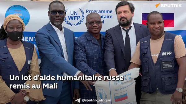 Aide humanitaire: La Russie remet au Mali 770 tonnes de pois cassés jaunes - Sputnik Afrique