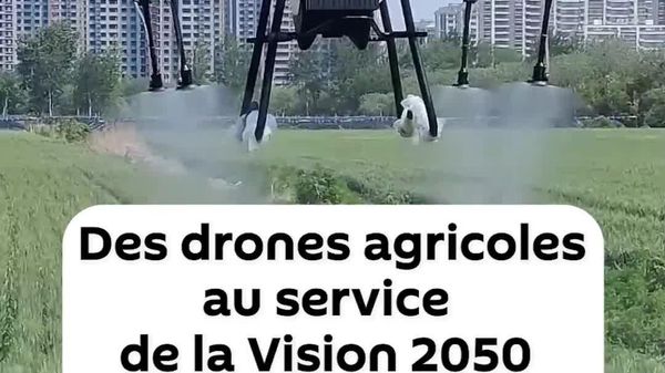 Comment les drones agricoles contribueront à la réalisation de la Vision 2050 en Tanzanie - Sputnik Afrique