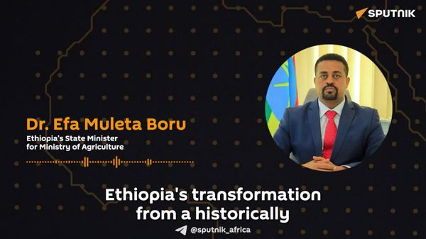 Ethiopia's Wheat Transformation Built on Decisive Policy, Not Luck: State Minister for Agriculture - Sputnik Africa