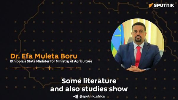 Breaking Aid Dependency Requires Political Will, Says Ethiopia's Agriculture State Minister - Sputnik Africa