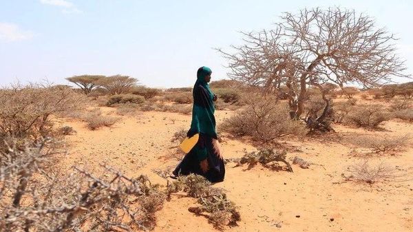 Super El Niño Could Push Almost 50 Million More People Into Acute Hunger by 2028: WFP - Sputnik Africa