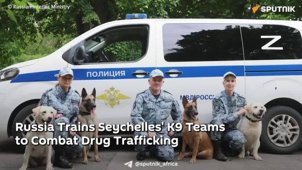 Russian Specialists Train Seychelles' K9 Teams to Counter Illegal Drug Trafficking - Sputnik Africa