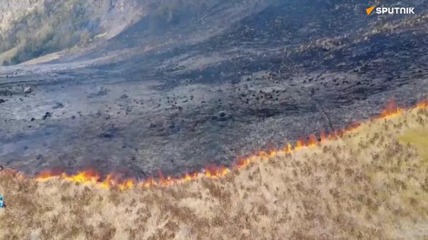 Third Day of Fire: Indonesia's Bromo Tengger Semeru Park Keeps Burning - Sputnik Africa