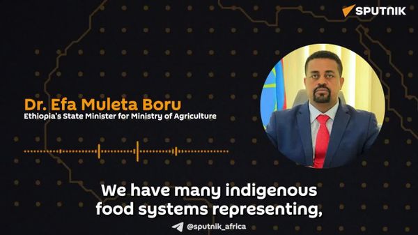 Ethiopia Studies Indigenous Food Systems for Better Productivity: State Minister for Agriculture - Sputnik Africa