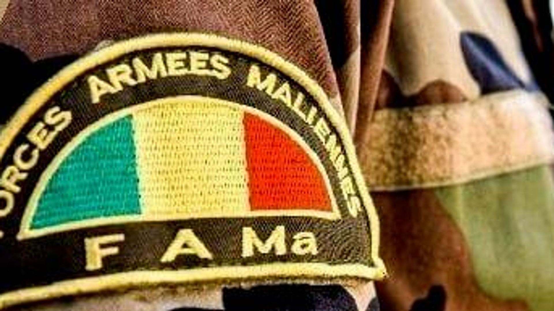 Frappes ciblées des FAMa contre un regroupement de la coalition JNIM/FLA Frappes ciblées des FAMa contre un regroupement de la coalition JNIM/FLA - Sputnik Afrique, 1920, 07.08.2026