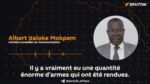 Désarmement en RCA: Ce travail de collaboration porte ses fruits – porte-parole de la présidence - Sputnik Afrique