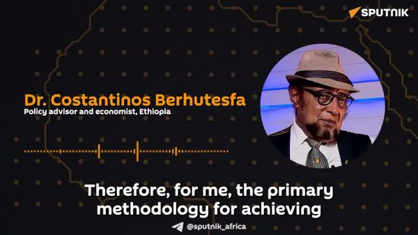 Colonial History & Neocolonialism 'Become Source of Economic Challenges' for Africa: Ethiopian Analyst - Sputnik Africa
