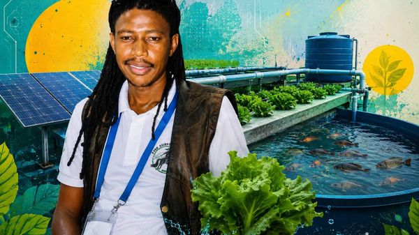 Homegrown Innovation Holds Key to Africa’s Food Future - Zimbabwean Developer  - Sputnik Africa