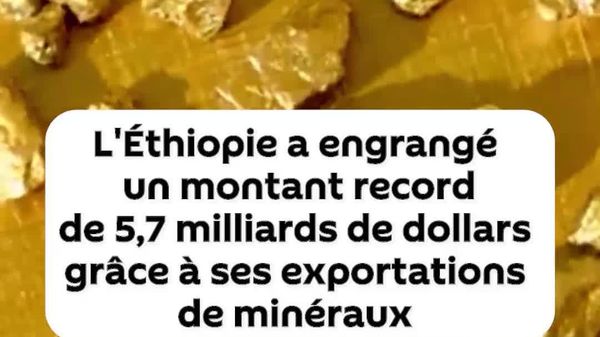 L’Éthiopie engrange un montant record de 5,7 milliards de dollars grâce à ses exportations minières - Sputnik Afrique