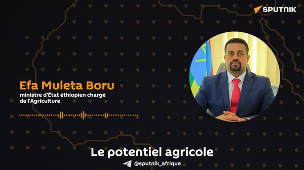 Pour libérer le potentiel agricole de l'Afrique, le financement et l'investissement sont indispensables - un haut responsable éthiopien - Sputnik Afrique