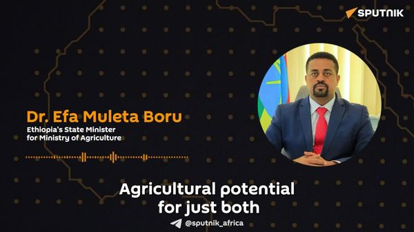 To Unlock Africa's Agricultural Potential, Finance & Investment Are What's Needed: Ethiopia's Official - Sputnik Africa